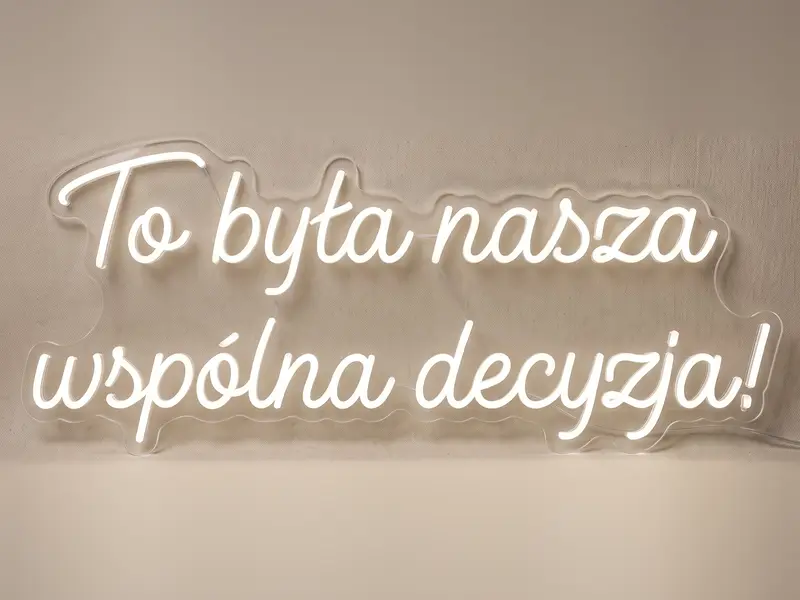 Neon LED To była nasza wspólna decyzja, 110 × 47 cm