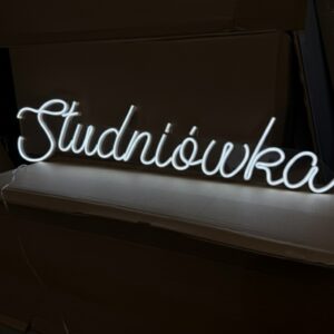 Neon studniowka